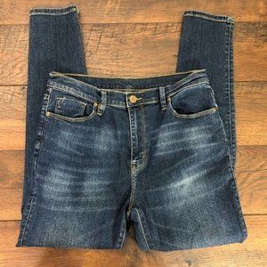 BDG Distressed Twig High Rise Skinny Jeans - 28